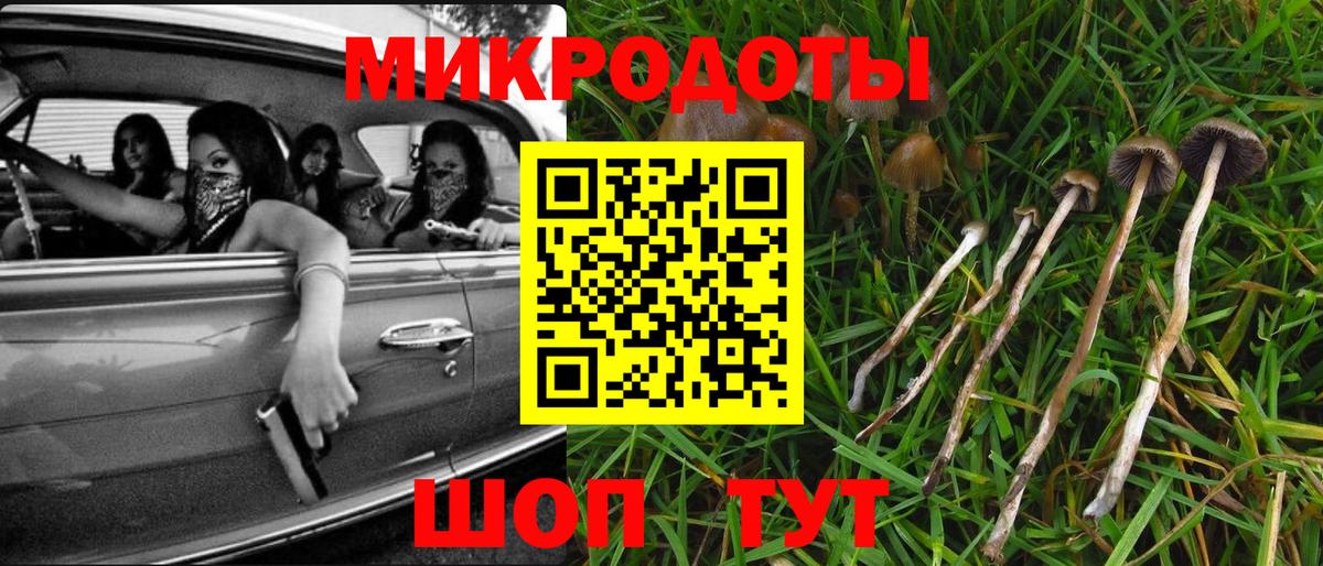 Партизанск  Псилоцибиновые грибы ЛСД  Вход с VPN 