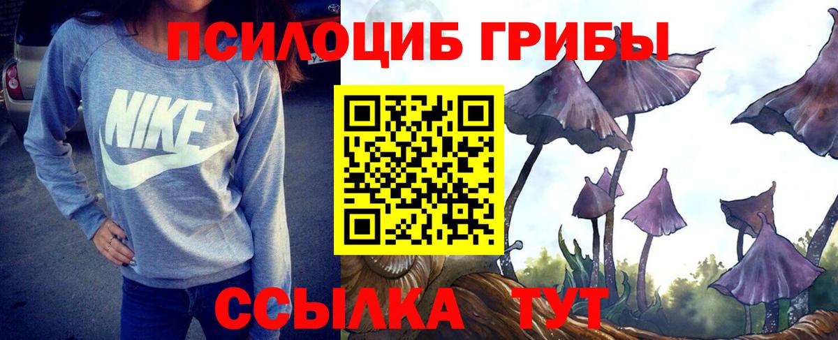 Псилоцибиновые грибы GOLDEN TEACHER Партизанск